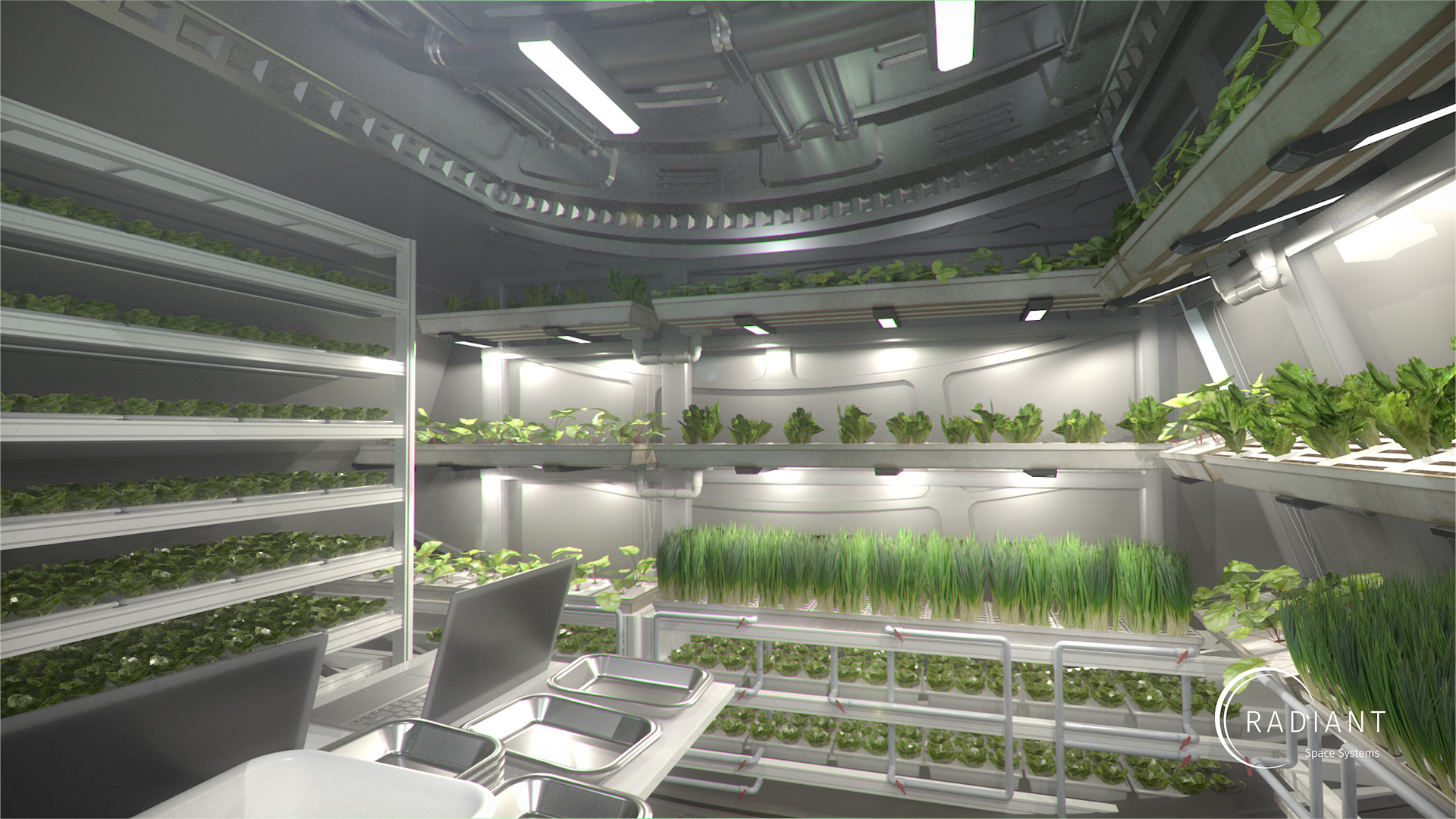Rendering of hydroponics room on the interior of Earthshine-Mini.